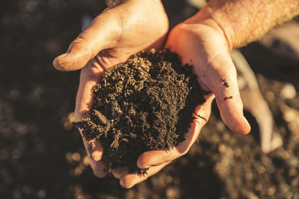 A pair of hands, filled with soil.